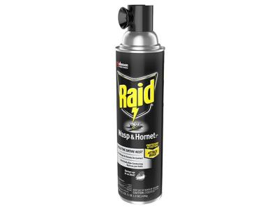 Raid Wasp & Bee Insecticide